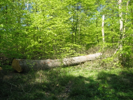 Billeder 2005 2006 2007 296